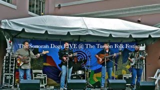 The Sonoran Dogs LIVE @ The Tucson Folk Festival &#39;16 - Tylers Jig