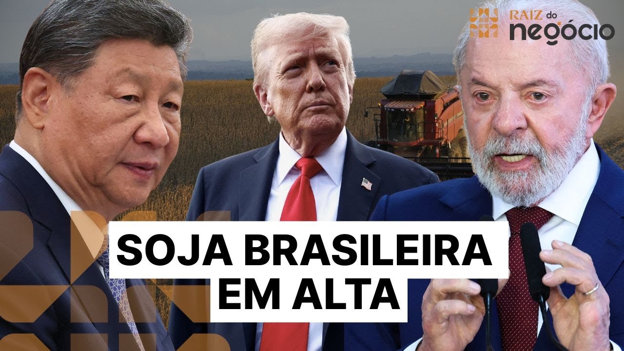 China bate recorde de compra de soja brasileira e produtores nos EUA pedem socorro | Raiz do Negócio