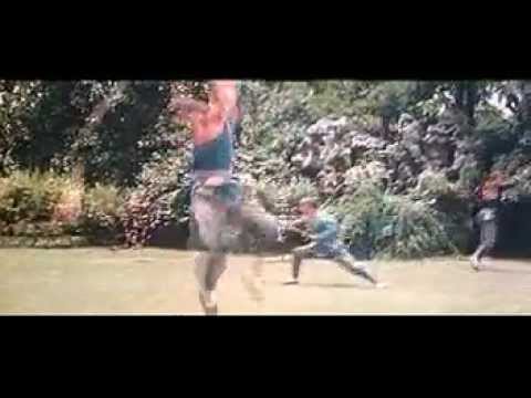 The Shaolin Temple'