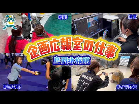 《鳥羽水族館 開館70周年記念動画》企画広報室の仕事を紹介!
