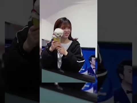 #All My Pets, One Big Hug#Caught with a Handful of Happiness#Fluffy Squad Goals #petshub