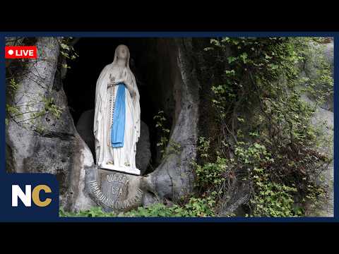 🔴LIVE: View of the Grotto of the Apparitions at Our Lady of Lourdes Shrine | AK1Z