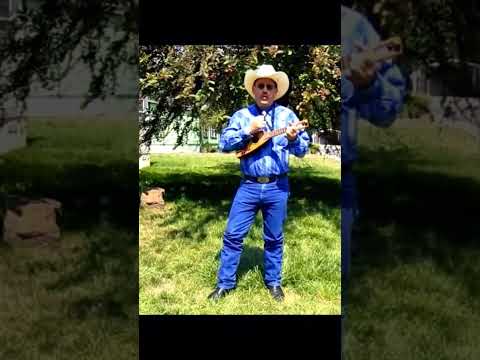 He's Got the Whole World in His Hands! #ukulele