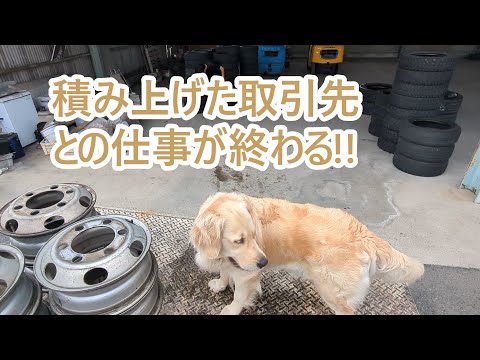 愛犬ティトとの日々と別れの心のつながり サムネイル