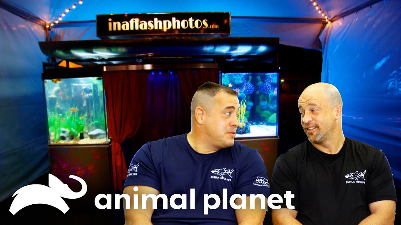 A Traveling PhotoBooth Fish Tank! | Tanked | Animal Planet