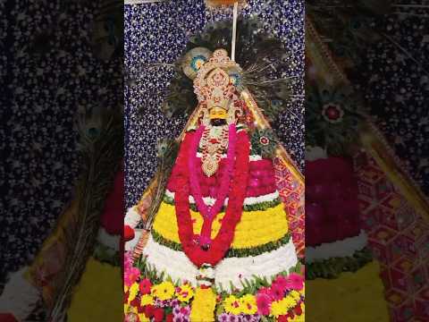 ❣️मेरा श्याम 🔥है यार गरीबों का भजन 💯😎🙏🙏