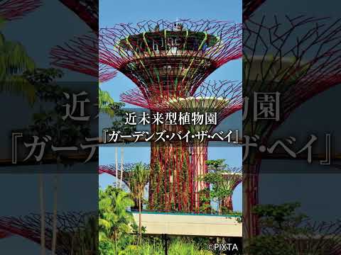 シンガポール満喫4日間｜直行便でラクラク旅