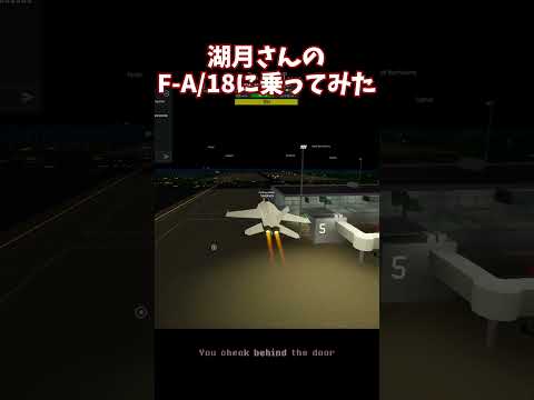 湖月さんのF-A/18に乗ってみた @湖月ch-x9d