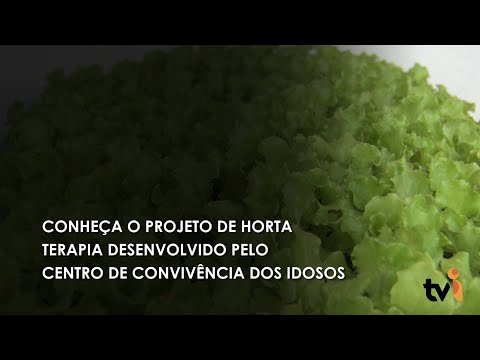 Vídeo: Conheça o projeto de Horta terapia desenvolvido pelo Centro de Convivência dos Idosos