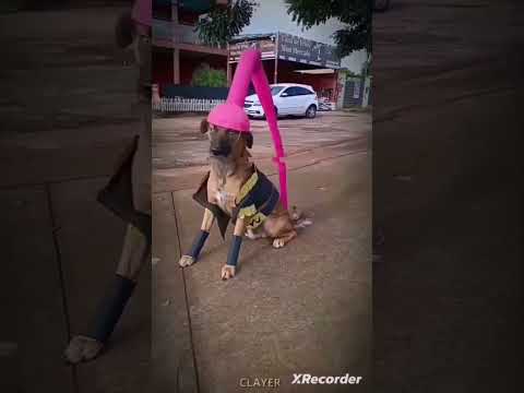 define aura 💀#edits#perros#memes