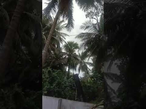 Montha thufan #live#amalapuram#like #subscribe