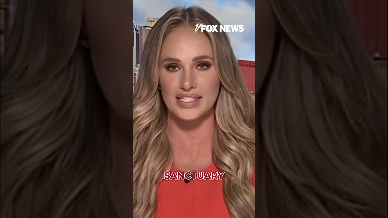 Tomi Lahren: Democrats want to 'CRY WOLF' #democrats #shorts #tomilahren #texas