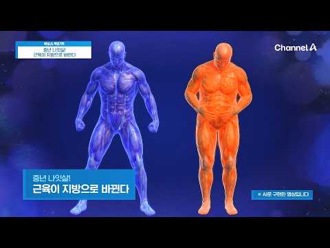 [교양] 특별기획 <strong>중년</strong> 나잇살! 근육이 지방으로 바뀐 _260905_나잇살을 줄이기 위해 체중을 감량하는 다이어트가 해답이 될 수 있을까?