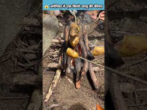 😱 अमेरिका मे एक किलो आलू की कीमत #shorts #viral