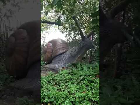 you are not afraid of animals #shorts #ytshorts #animals #trollface