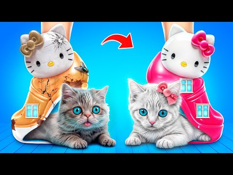 ネコちゃんのためのおうちをつくろう!ハローキティがこまったネコちゃんをたすけたよ!