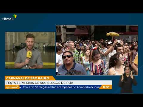 Carnaval de São Paulo terá 511 blocos de rua