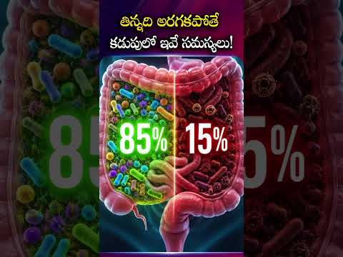 Food Digestion సరిగా కాకపోతే ఈ Symptoms వస్తాయా? #GrandRestore #Indigestion #digestion #ytshorts