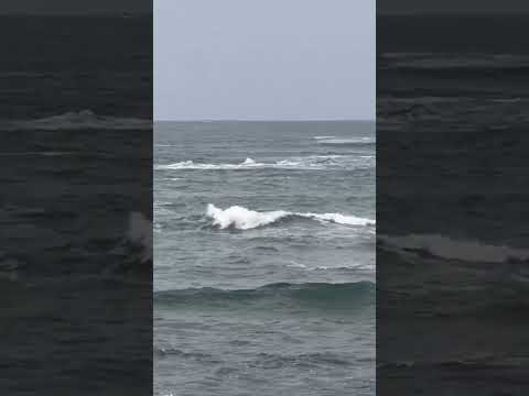 台風30号の影響で海は大荒れ。部分的に濁っていることもありますが、波止釣りは問題ありません。10月23日金曜日撮影。和歌山県みなべ町海況。