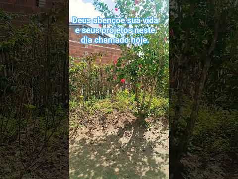 o dia de hoje #mensagem #fe #mensagensdivinas #jesus #caminhodaverdade #motivacional #caminhosdosenh