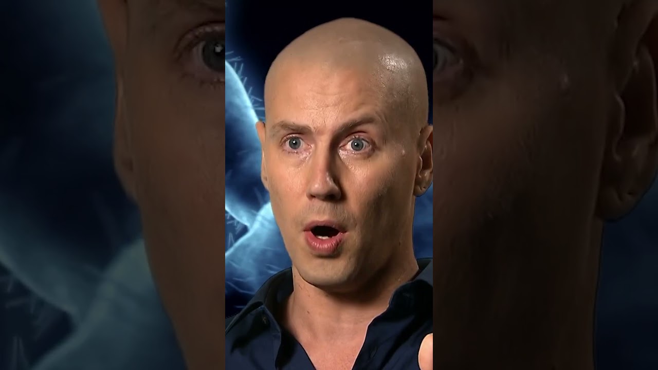 Ant Army vs Wasp Warriors! #shorts #insects