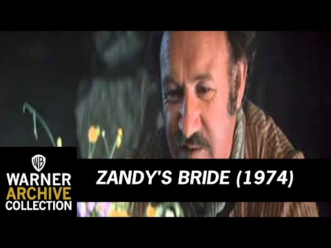 Zandy's Bride'