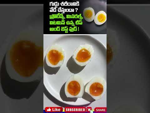 గుడ్డు శరీరానికి వేడి చేస్తుందా ? ప్రోటీన్స్, మినరల్స్, విటమిన్ ఉన్న చీప్ అండ్ బెస్ట్ ఫుడ్ ! #shorts