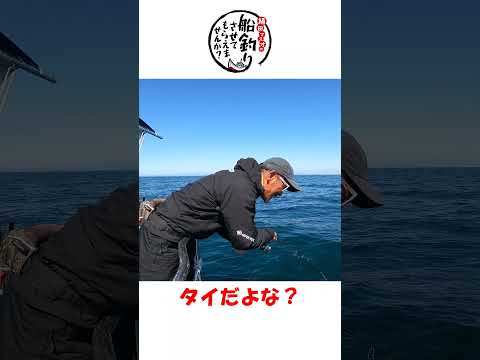 東北旅でやっと釣れたマダイ！ #タイラバ