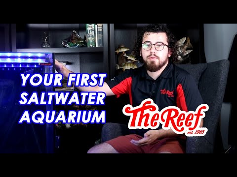 Setting Up Your First Saltwater Aquarium Part I_ I In this video series, David will walk you through setting up your first saltwater aquarium- from the
