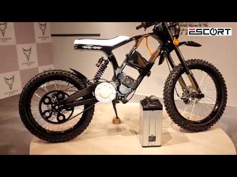 Denzel News:  Carbon Fiber Electric bike ESCORT version 4.0