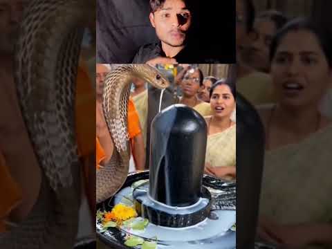 AI ने मेरा दिमाग उड़ा दिया! 😱 Shocking Reaction जो आपको हैरान कर देगा | #shorts #viral