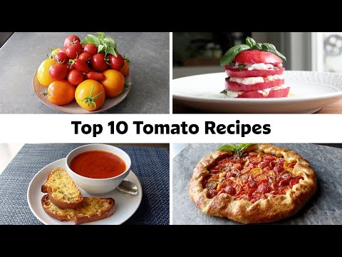 10 Must-Try Fresh Tomato Recipes