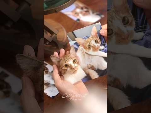 羊毛フェルトで作る猫_メロンくん①