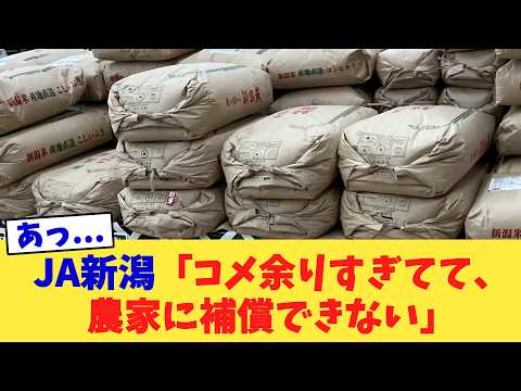 JA新潟「コメ余りすぎてて、農家に補償できない」