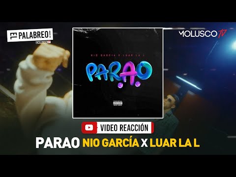 Nio García y Luar homenaje a las que te lo dejan PARAO #VideoReaccion #ElPalabreo