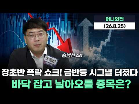 급반등 시그널 터졌다 <strong>바닥</strong> 잡고 날아오를 종목은?