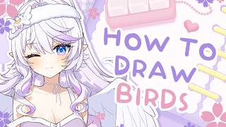 TODAY WE DRAW BIRDS