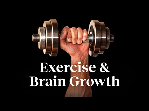 強化心智的最佳方式就是運用身體 | Wendy Suzuki | Big Think (中文字幕)