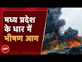 Madhya Pradesh Fire: मध्य प्रदेश के धार में भीषण आग, आग बुझाने की कोशिश जारी | NDTV India