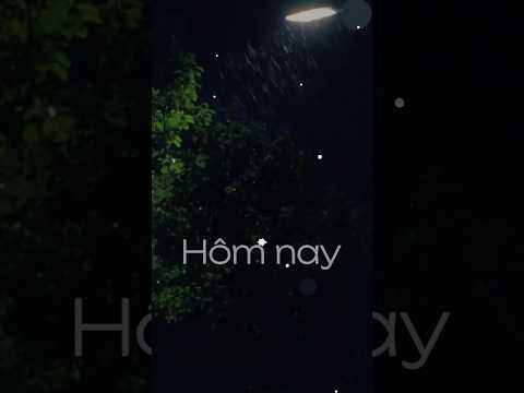 Mưa đêm chill cực anh em ơi