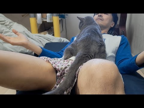移送