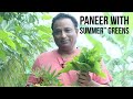 Palak Paneer Recipe like - Top 6 Summer  Green  Leaves with   Paneer Curry Recipe - summer Greens