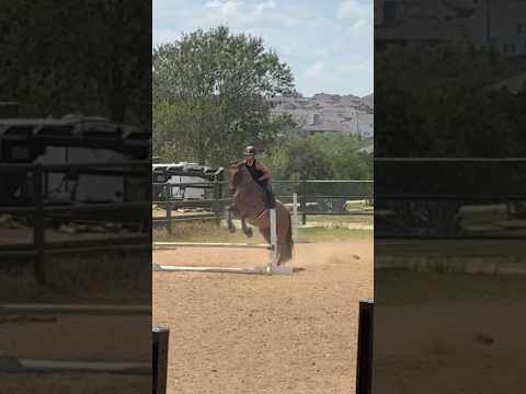 get it kacey !! #horse #horseriding #equestrianriding