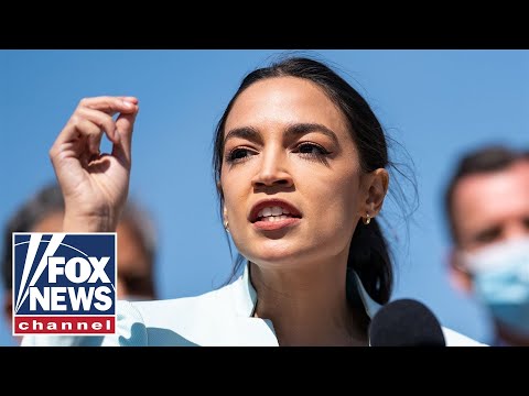 Leo Terrell rips ‘race hustler’ AOC after call to ‘abolish our carceral system’ Leo Terrell rips ‘race hustler’ AOC after call to ‘abolish our carceral system’