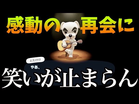 【あつ森】10年ぶりにとたけけと再会を果たし頭がおかしくなったあほが面白すぎるwwwwwwwwwwwwwwwwwwwwwwww