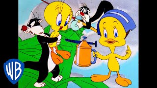 Looney Tunes - Tweety a Sylvester