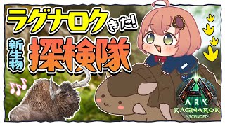 ꒰ ASA:RAGNAROK ꒱ 　ラグナロクきたー❤ 新生物見たい👀まったり探検隊✊　˹ 本間ひまわり にじさんじ ˼