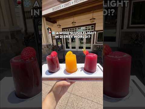 A wine slush flight in Disney World?!