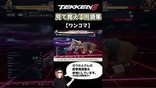 【鉄拳8】見て覚える用語集【ワンコマ】