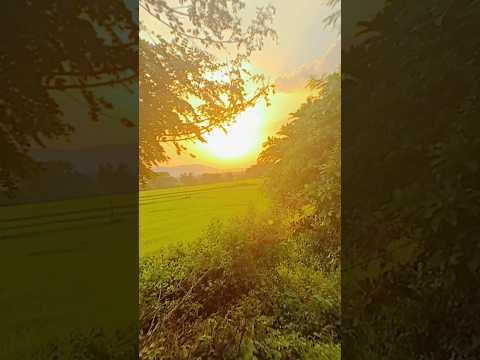 #music #song #viral #agriculture #trending #nature #telugu #villagelife #farming #automobile #india